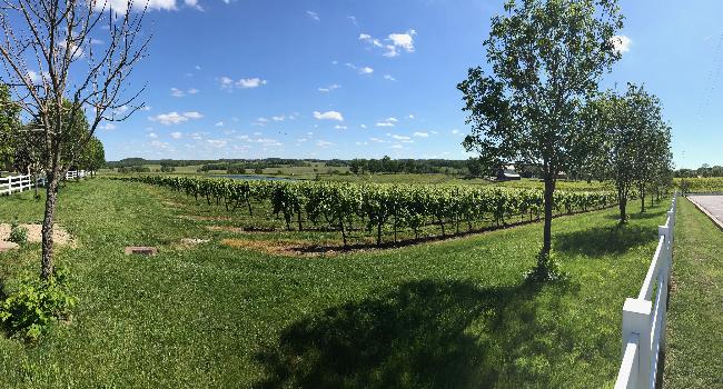 Beautiful grassland farm in Illinois